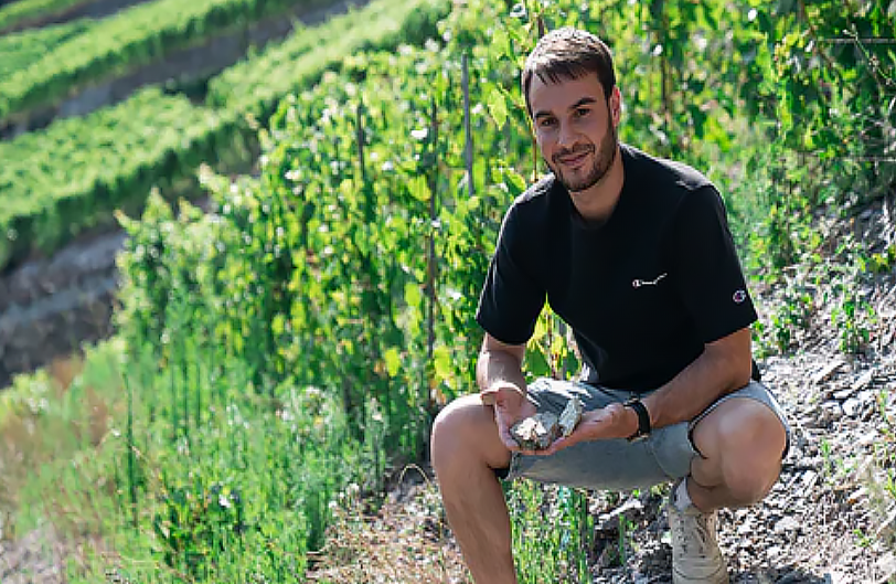 Cave Luisier - Clément Luisier - yvesbeck.wine